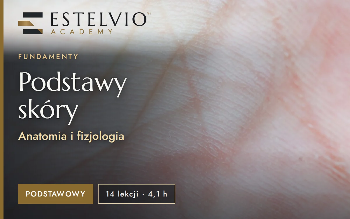 Podstawy skóry: Anatomia i fizjologia